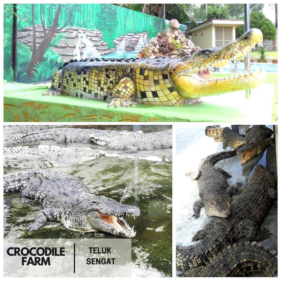 Desaru, Bayu Balau Beach Resort Bandar Penawar Esterno foto